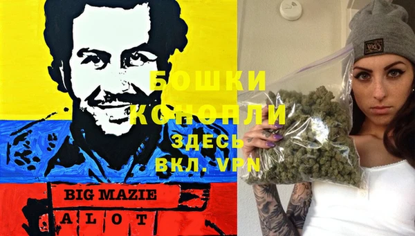 ГАЛЛЮЦИНОГЕННЫЕ ГРИБЫ Верхнеуральск
