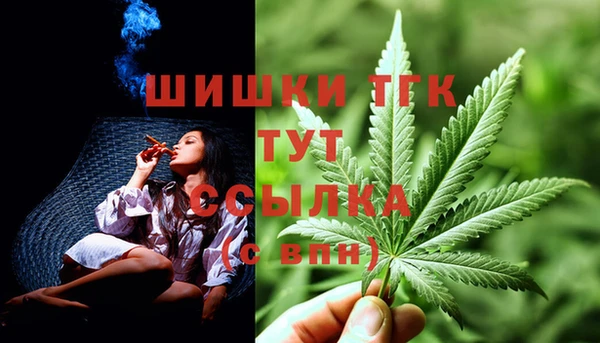 ГАЛЛЮЦИНОГЕННЫЕ ГРИБЫ Верхнеуральск