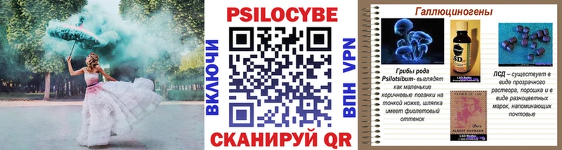 Галлюциногенные грибы Psilocybe  Купить  Красавино 